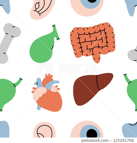Organs pattern. Human internal organs. Vector illustration. 125261706