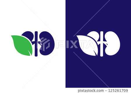 Organic kidneys logo combination. Unique internal organ and leaf logotype design template. 125261709