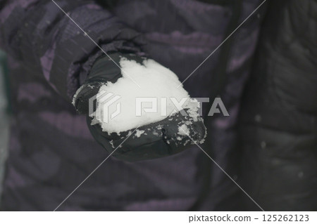 Holding freshly fallen snow in a winter landscape 125262123