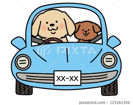 Illustration of a dog driving: Golden Retriever & Poodle 125262308