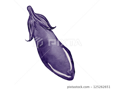 Illustration material of freshly picked eggplant, a summer vegetable, painted in watercolor 125262651