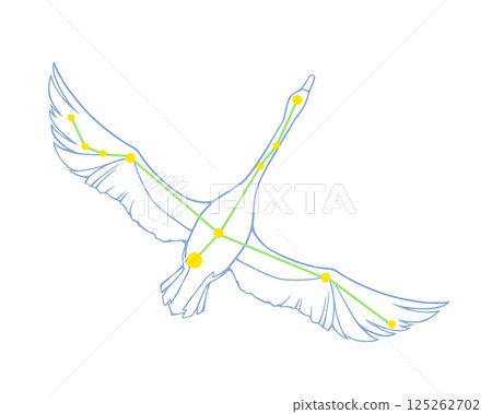 Color illustration of Cygnus Color illustration of Cygnus 125262702