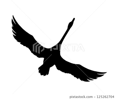 一隻展翅飛翔的天鵝的剪影插圖 一隻展翅飛翔的天鵝的剪影插圖 125262704