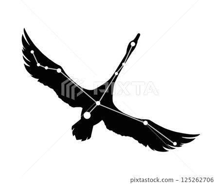 Cygnus silhouette illustration Cygnus silhouette illustration 125262706