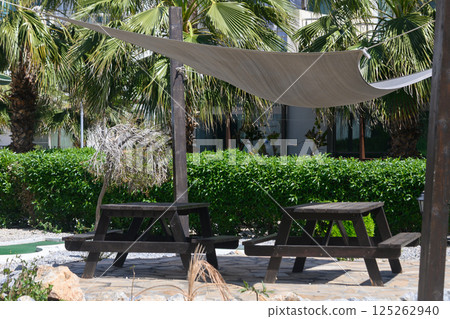 Serenity in a sunlit garden with shaded seating under palm trees Serenity in a sunlit garden with shaded seating under palm trees 125262940