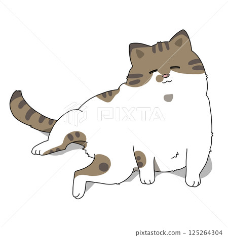 cat sleepy cat sleeping cat cat cat cat sleepy cat sleeping cat cat cat 125264304