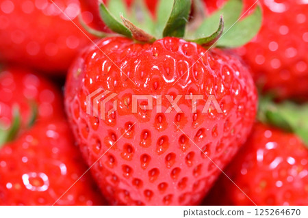 Sweet and delicious strawberries (Amaran from Saitama Prefecture) Sweet and delicious strawberries (Amaran from Saitama Prefecture) 125264670