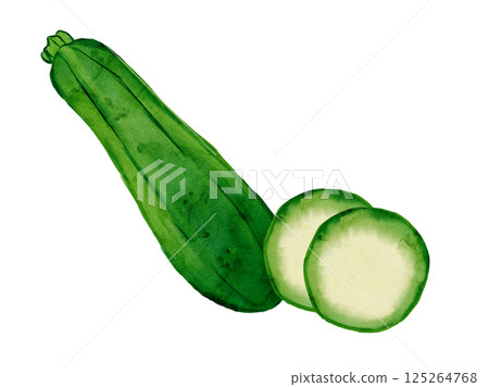 新鮮採摘的夏季蔬菜向量西葫蘆的水彩插圖 125264768