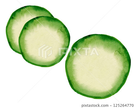 新鮮採摘的夏季蔬菜向量西葫蘆的水彩插圖 125264770