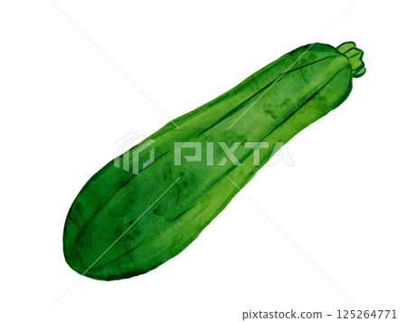 新鮮採摘的夏季蔬菜向量西葫蘆的水彩插圖 新鮮採摘的夏季蔬菜向量西葫蘆的水彩插圖 125264771