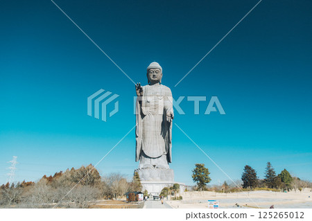 巨大的牛久大佛在藍天映襯下格外醒目 125265012