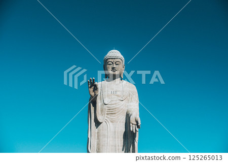 巨大的牛久大佛在藍天映襯下格外醒目 巨大的牛久大佛在藍天映襯下格外醒目 125265013