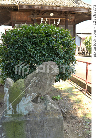 佐野漫步：栃木縣佐野市稻荷神社 125265272
