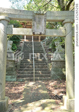 Sano Walk: Hie Shrine, Kannonyama Park, Sano City, Tochigi Prefecture 125265298