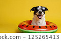 Cool dog wears sunglasses in watermelon float on yellow background. Very cool summer fun. 125265413