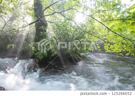 森林中波光粼粼的清澈溪流－大仙溪谷澤溪 125266052