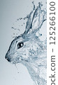 Water splashes form an intricate shape resembling a rabbit, capturing the fluidity and dynamism of movement. The transparent water contrasts beautifully against a soft gray background 125266100