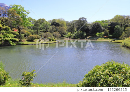 六義園 - 大泉水景觀 125266215