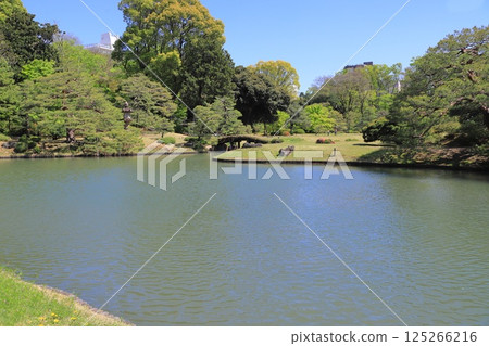 六義園 - 大泉水景觀 125266216