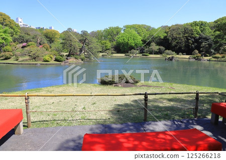 六義園 - 大泉水景觀 125266218