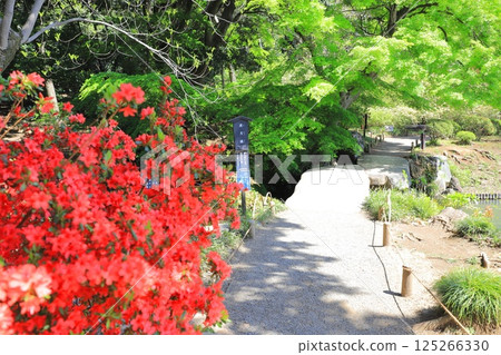 Rikugien Garden "Togetsukyo Bridge" 125266330
