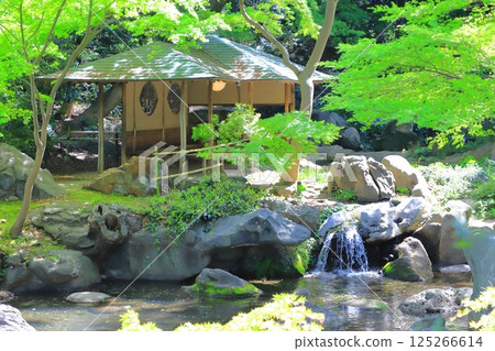 Rikugien Garden "Takimi Teahouse" Rikugien Garden "Takimi Teahouse" 125266614