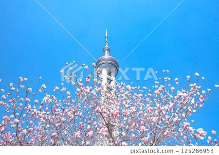 上海東方明珠塔與白玉蘭花 上海東方明珠塔與白玉蘭花 125266953