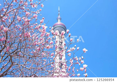 上海東方明珠塔與白玉蘭花 上海東方明珠塔與白玉蘭花 125266954