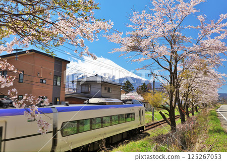 Yamanashi Prefecture Spring cherry blossom trees, Fuji Kyuko and Mt. Fuji Yamanashi Prefecture Spring cherry blossom trees, Fuji Kyuko and Mt. Fuji 125267053