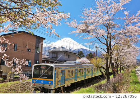 山梨縣春天櫻花樹、富士急行和富士山 山梨縣春天櫻花樹、富士急行和富士山 125267056