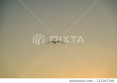 Sunrise Sunrise 125267246