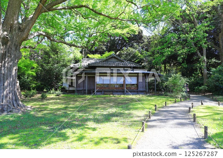 Rikugien Garden "Shinsen-tei" Bunkyo Ward, Tokyo 125267287