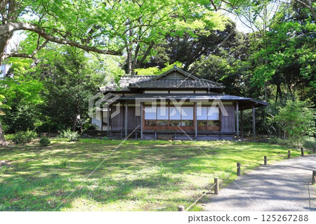 東京都文京區六義園“神仙亭” 東京都文京區六義園“神仙亭” 125267288