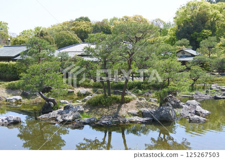 白鳥庭園:有池塘的散步式日式花園 白鳥庭園:有池塘的散步式日式花園 125267503
