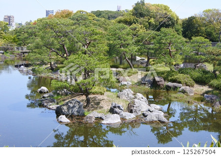 白鳥庭園：有池塘的散步式日式花園 125267504
