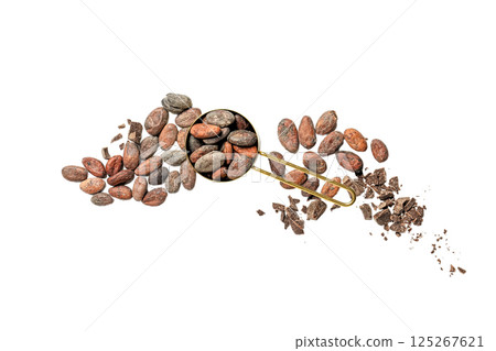 Cacao beans and nibs are scooped to highlight their texture and rich color for cooking, isolated on white, PNG Cacao beans and nibs are scooped to highlight their texture and rich color for cooking, isolated on white, PNG 125267621