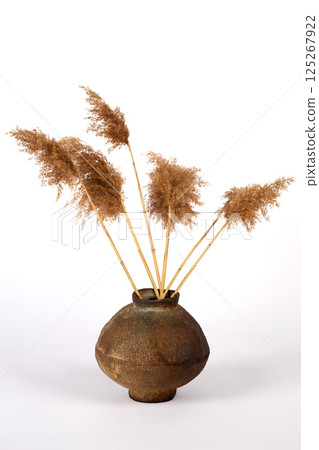 Ceramic vase on white background 125267922