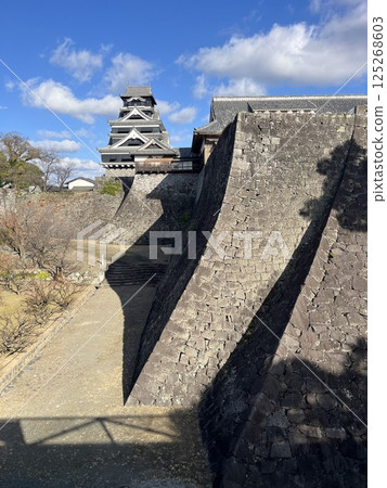 Two types of stone walls and castle tower 125268603