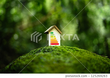 Home Improvement concept, Home Energy Efficiency, Eco-Friendly Home Improvement 125269263