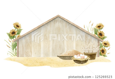 Farm wooden barn or chicken coop with eggs, wheat harvest in wicker basket and millet bird food watercolor isolated illustration. Village scene template with sunflowers for poultry yard designs 125269323