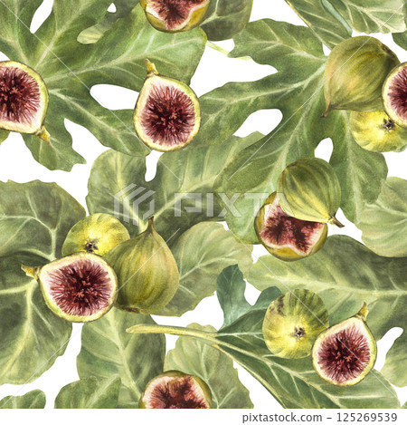 Figs fruit with green leaves seamless pattern Realistic watercolor whole and sliced fruit fabric print Plant, botanical clipart for packing, wallpaper. Hand drawn illustration Isolated from background 125269539