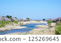 Cherry blossoms along the Sosha River 125269645