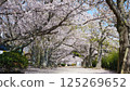 Cherry blossoms along the Sosha River 125269652