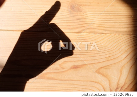 手工製作的皮影戲 125269653