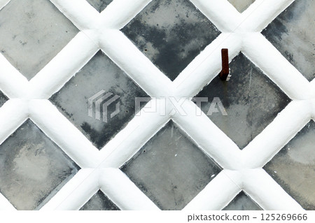 Sea cucumber wall 125269666