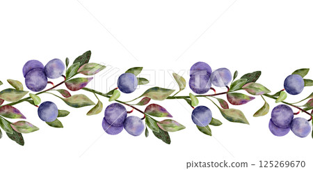 Blueberry seamless border, banner with green leaves on branch, hand drawn watercolor, ripe forest berry. Isolated frame botanical illustration for restaurant, cafe menu, wedding, farmers market Blueberry seamless border, banner with green leaves on branch, hand drawn watercolor, ripe forest berry. Isolated frame botanical illustration for restaurant, cafe menu, wedding, farmers market 125269670