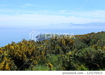 Ireland House Cliff Walk 125270413