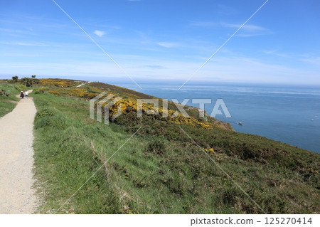 Ireland House Cliff Walk 125270414
