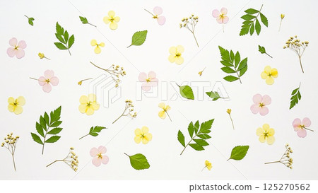 花卉植物材料 125270562