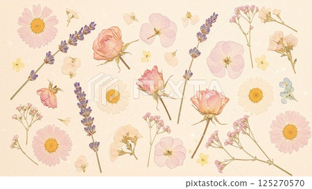 花卉植物材料 125270570